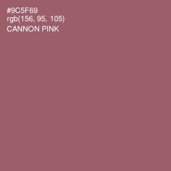#9C5F69 - Cannon Pink Color Image